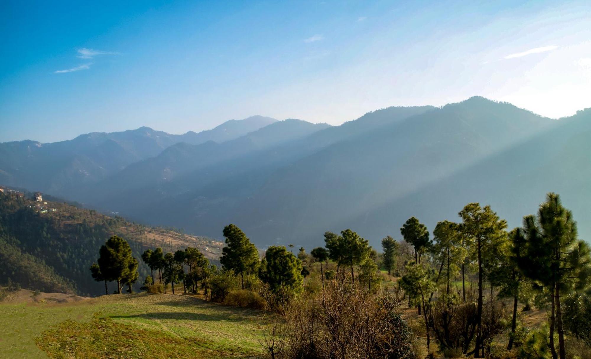 The Manor Luxury Apartments, Shimla มาโชบรา ภายนอก รูปภาพ